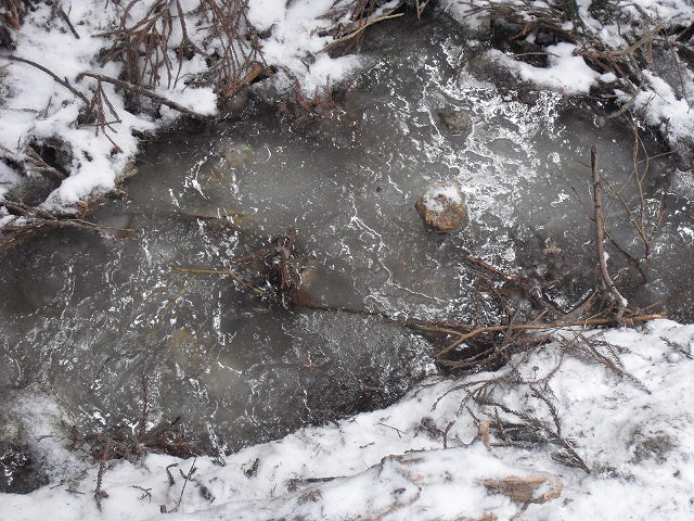 川も凍っている