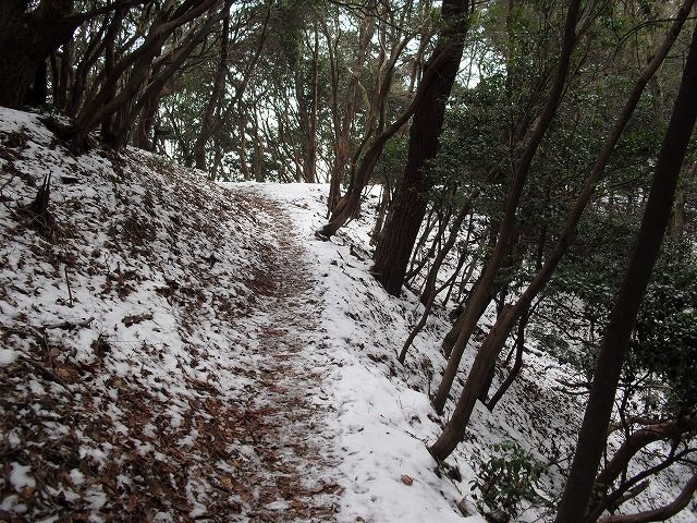 残雪の山道