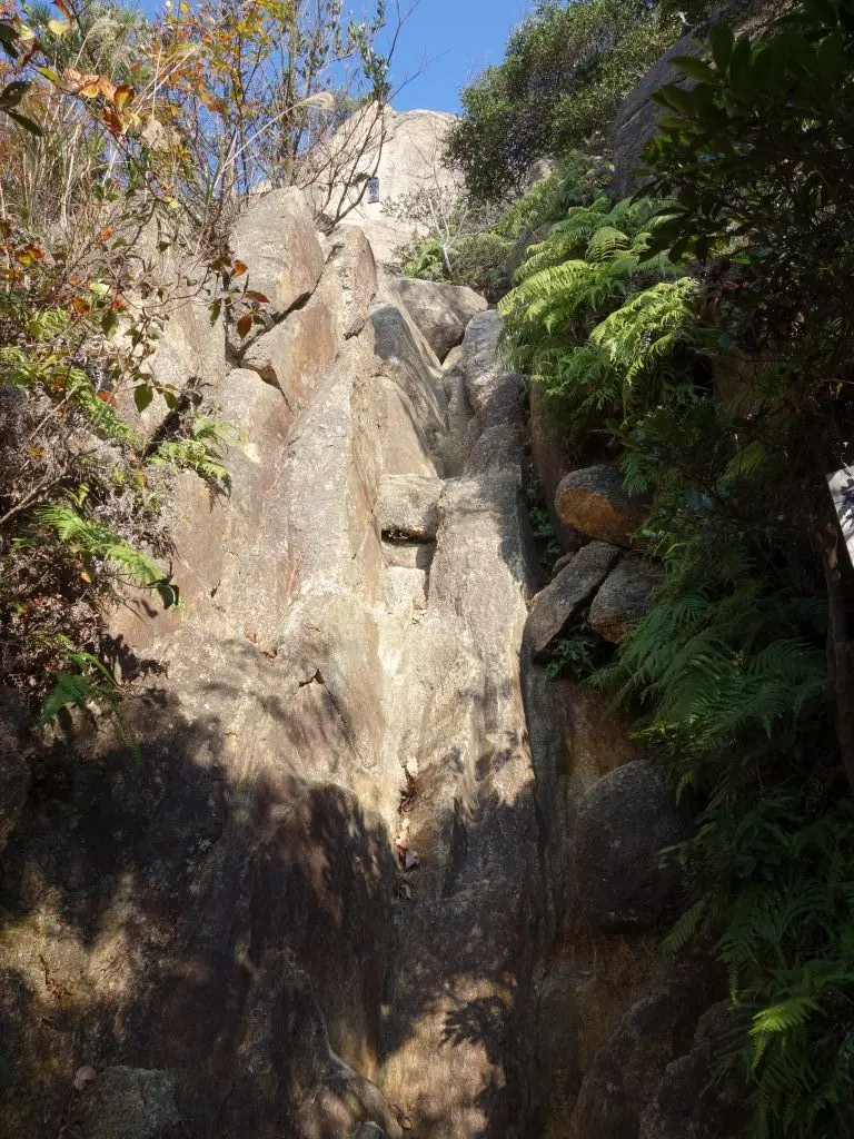 岩梯子は10数メートルの高さ