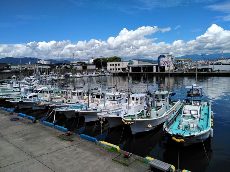 田子の浦の漁港